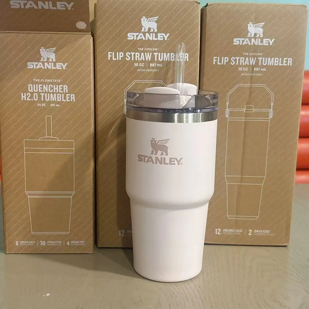 STANLEY ADVENTURE H2.0 20oz Scene Thermal Tumbler Wide Mouth Easy Clean Insulated Water Bottle Lightweight For Mountaineering