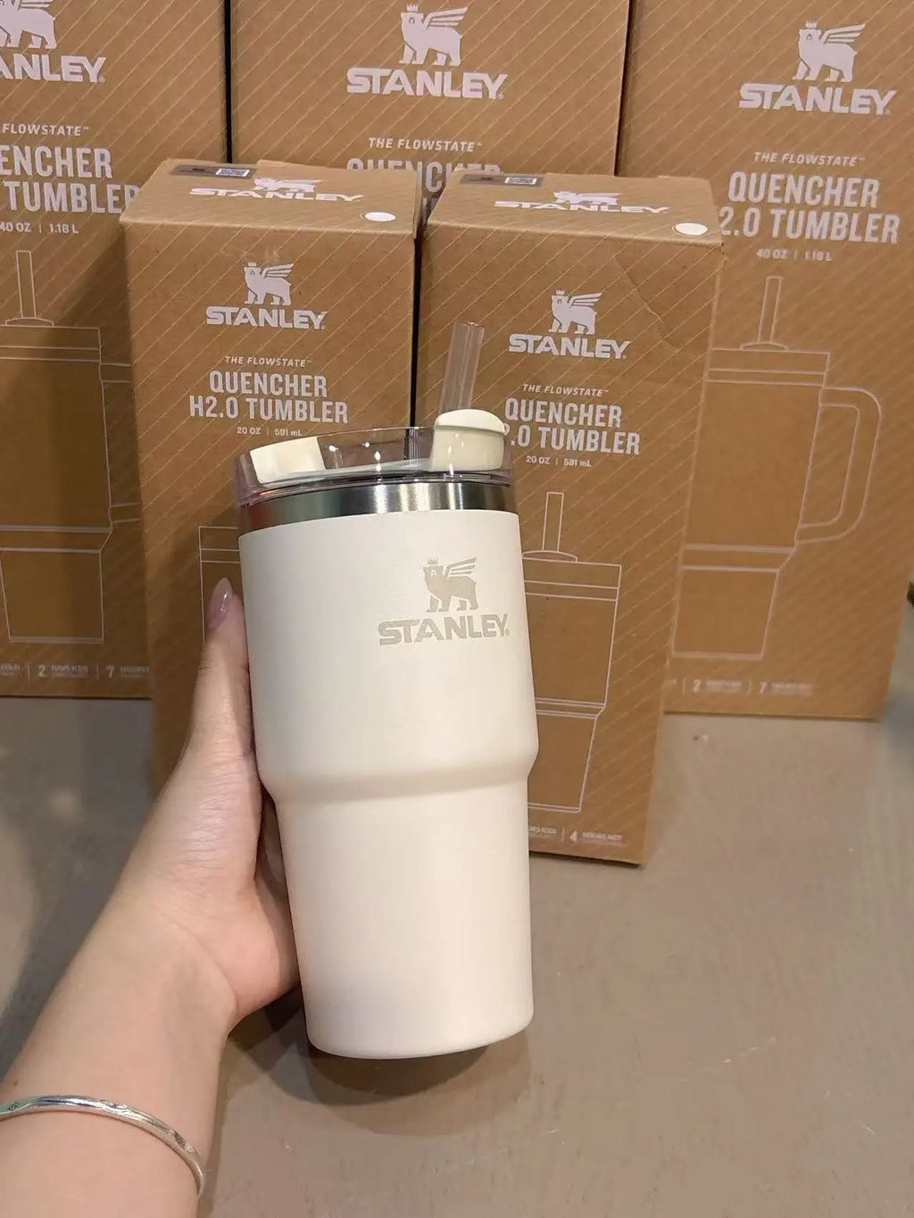 STANLEY ADVENTURE H2.0 20oz Scene Thermal Tumbler Wide Mouth Easy Clean Insulated Water Bottle Lightweight For Mountaineering