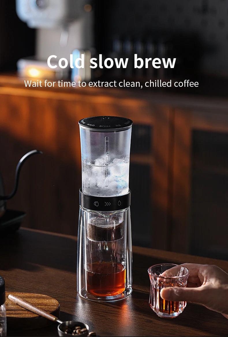 Bincoo Cold Brew Extraction Pot Double-layer Glass Ice Drip Pot Drip Coffee Maker Extraction Ice Sharing Cup 450ML