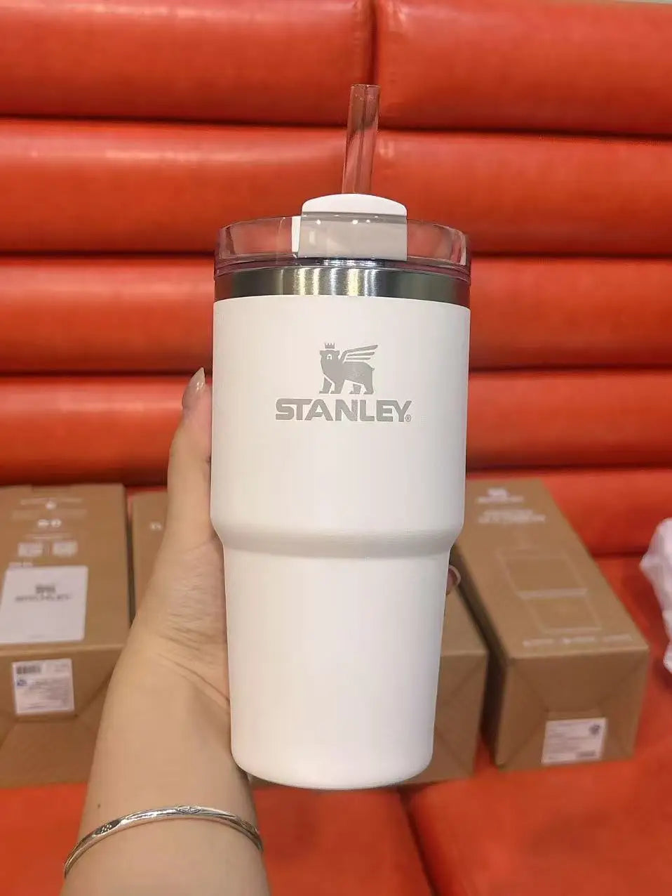 STANLEY ADVENTURE H2.0 20oz Scene Thermal Tumbler Wide Mouth Easy Clean Insulated Water Bottle Lightweight For Mountaineering