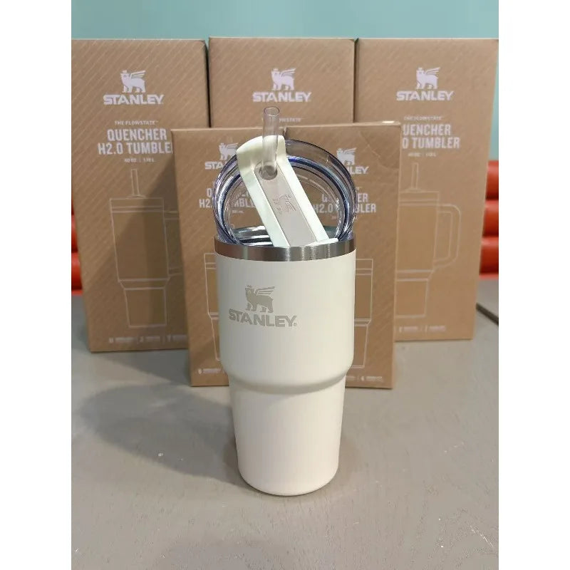 STANLEY ADVENTURE H2.0 20oz Scene Thermal Tumbler Wide Mouth Easy Clean Insulated Water Bottle Lightweight For Mountaineering